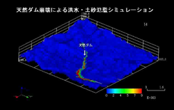 動画を表示